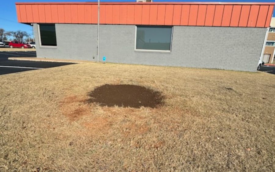 A field where a stump used to be in Broken Arrow, OK.