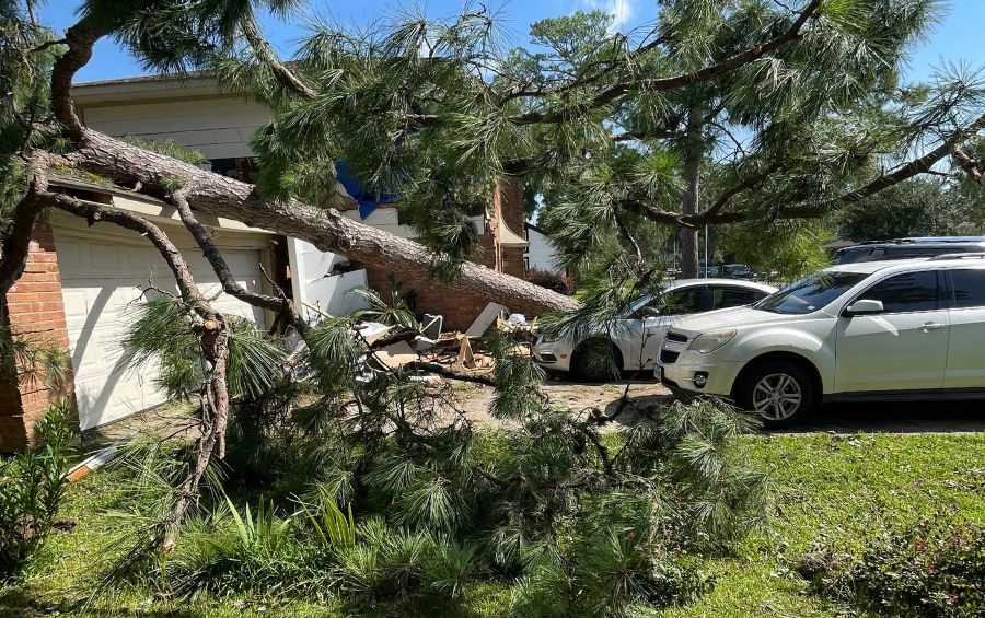 A tree that has fallen on a car in Broken Arrow, OK.