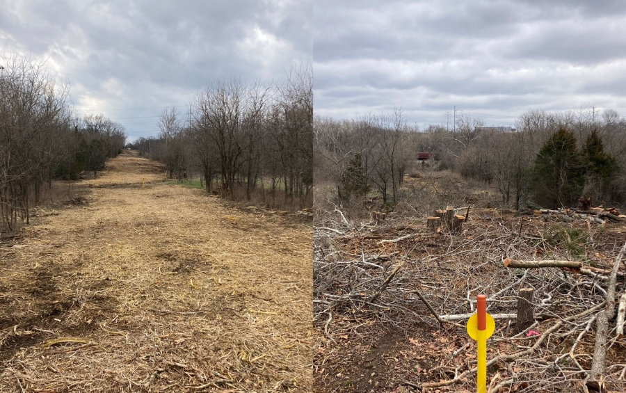 A side-by-side comparison showing a property before and after selective lot clearing, with the after photo showing a cleared landscape ready for development.
