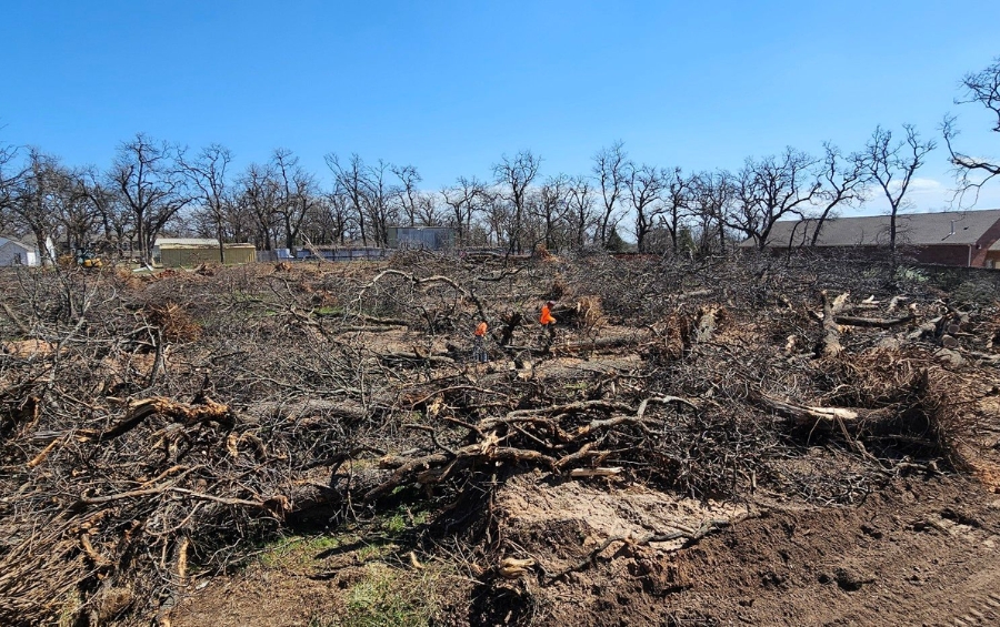 Clear-cut property showing complete tree removal in a residential area with only a few trees preserved along the perimeter.