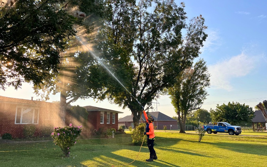 An Arbor Masters technician in an orange uniform and helmet sprays treatment high into the canopy of a large deciduous tree while sunlight streams through the branches, with a blue Arbor Masters truck parked in the background.