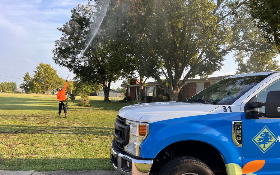 A blue and white Arbor Masters truck marked with the number 31 is parked in the foreground while a technician in orange sprays treatment into the canopy of a large hardwood tree in the background.