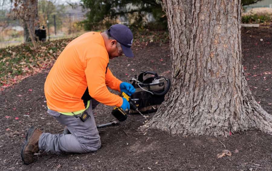 An Arbor Masters technician in an orange safety shirt and baseball cap kneels beside a large tree trunk while operating specialized injection equipment.