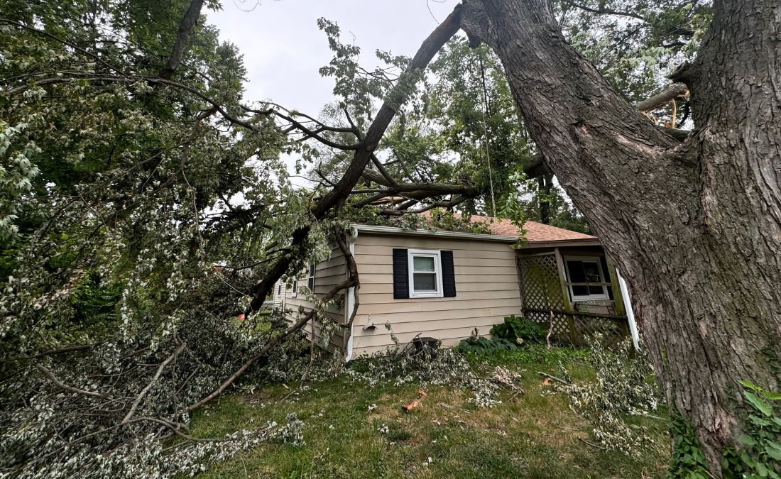 A tree with a large branch that fell on a house in Andover, KS.