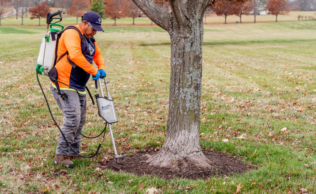 An arborist from Arbor Masters Wichita injecting insecticides into the soil in Goddard, KS.