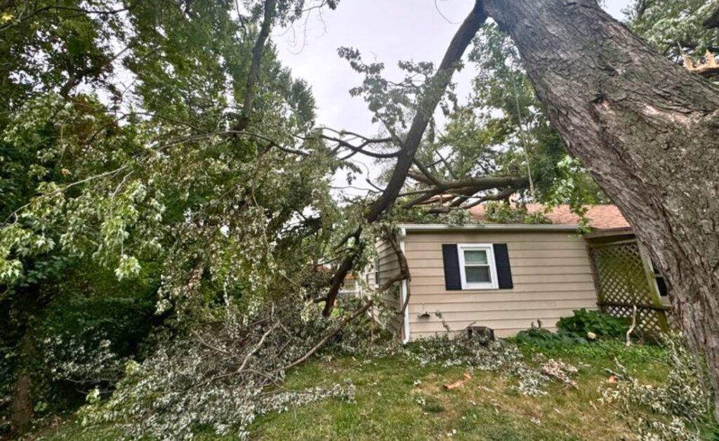 A large tree with broken limbs fallen on a residential home in Wichita after a winter storm, showing the risks of unaddressed tree hazards.