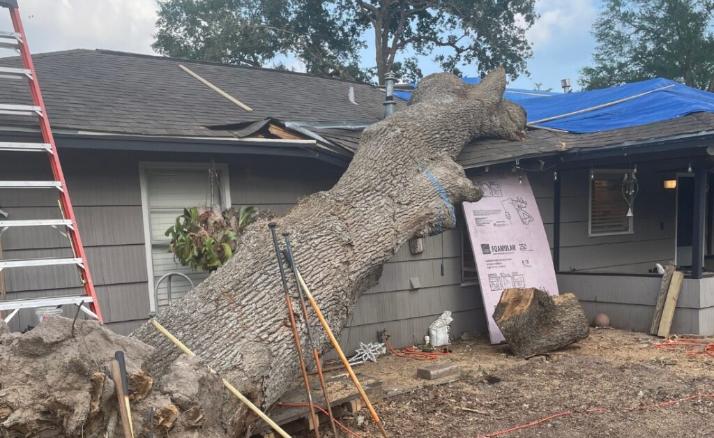 A large tree fallen on residential home in Wichita showing severe property damage from wind failure.