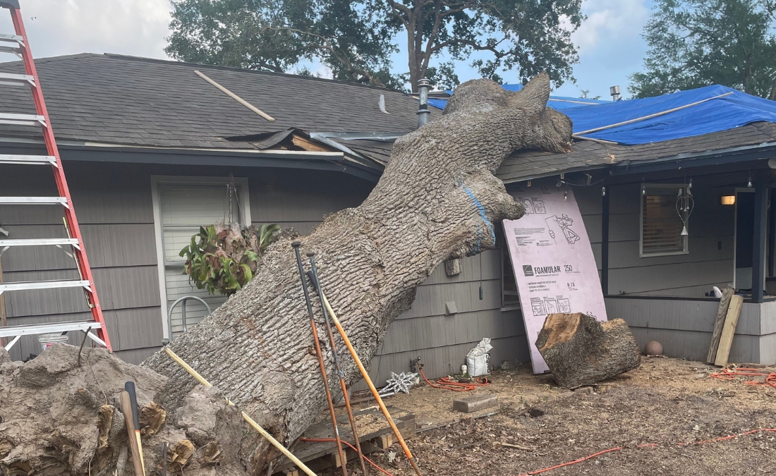 A large tree fallen on residential home in Wichita showing severe property damage from wind failure.