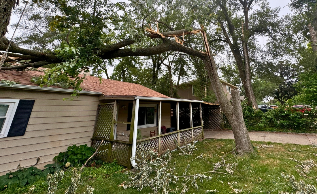 A large tree fallen onto house after storm damage in Wichita neighborhood, demonstrating the importance of post-storm tree inspection.