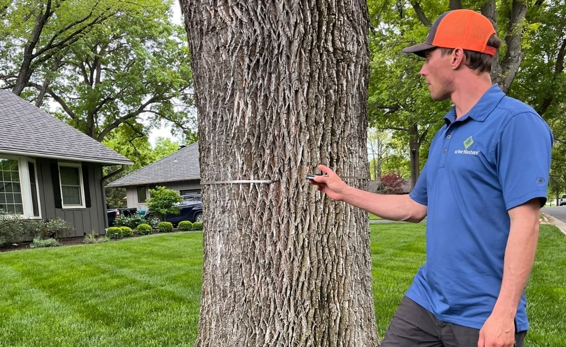 Arbor Masters arborist measuring the trunk diameter of a mature tree during a tree assessment in a Wichita neighborhood.