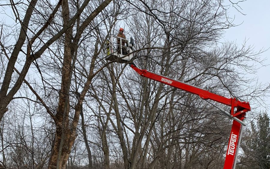 The Arbor Masters team using a spider lift to remove a tree in the winter in Augusta, KS