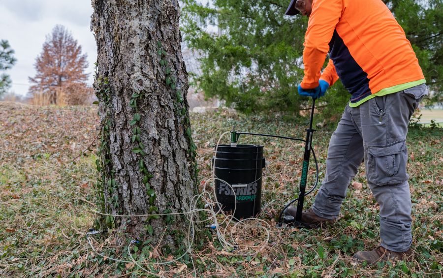 An arborist from Arbor Masters injecting fertilizer into the soil in Goddard, KS