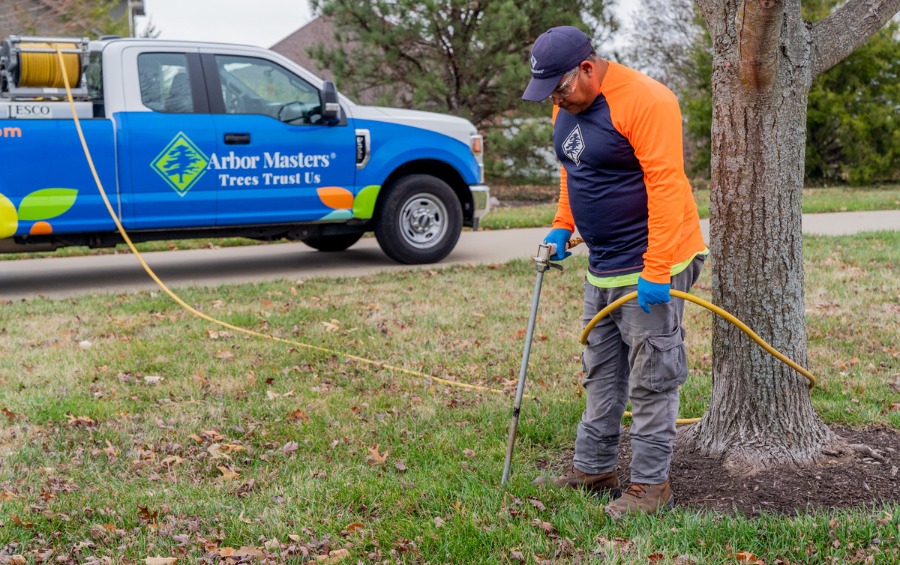 A member of the Arbor Masters staff fertilizing a tree to help with its disease resistance