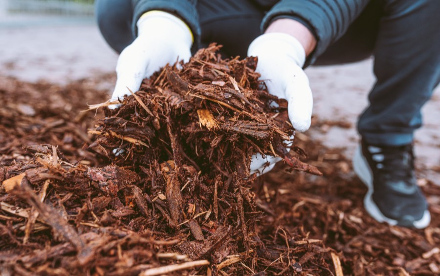 A homeowner picking up organic mulch in a yard in Goddard, KS.