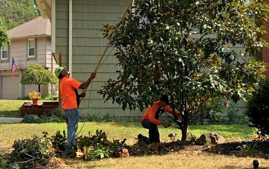 Arbor Masters crew members in orange safety shirts cleaning up storm debris and assessing tree damage in Wichita residential area.