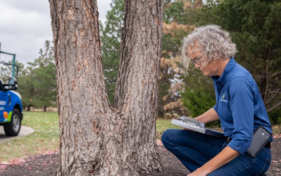 An Arbor Masters Certified Arborist conducting a professional tree risk assessment while taking notes on a clipboard next to a large tree trunk.