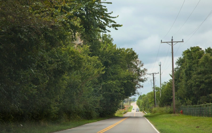 Tree-lined Kansas highway with branches bending under steady wind, leaves showing dull color, illustrating combined heat and wind stress