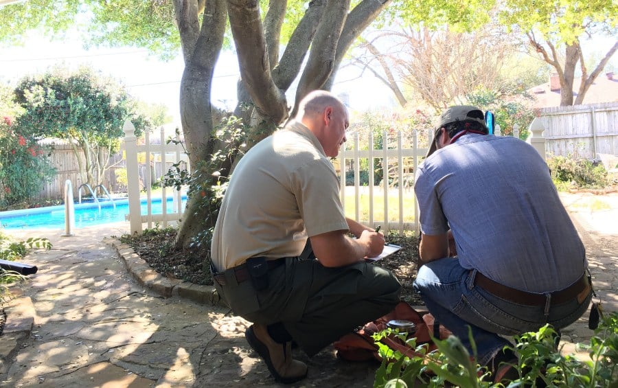 Two Arbor Masters team members inspecting the root zone of a mature backyard tree near a swimming pool in Wichita.