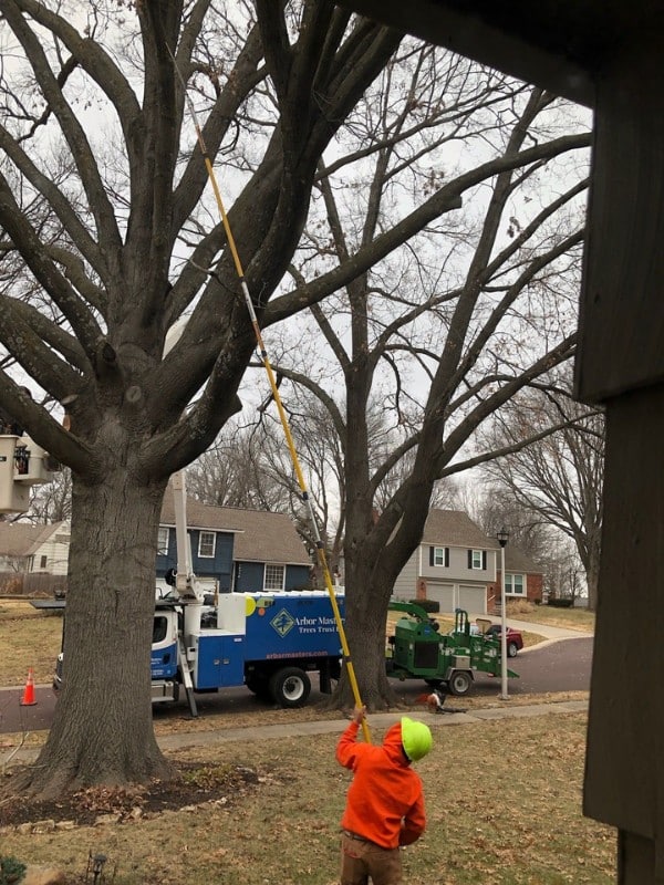 Arbor Masters crew member using a long pole saw to prune a large deciduous tree in a Wichita neighborhood, with a branded company truck and chipper visible in the background