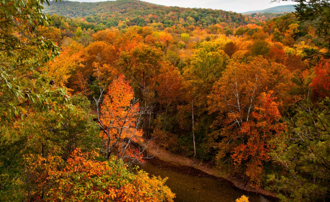 Fall season in MO.