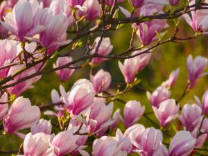 AM-service-box-periodic-monitoring