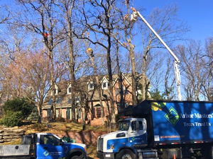 AM-service-box-priority-pruning