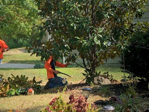AM-service-box-structural-pruning