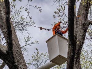 AM-service-box-threaded-rod