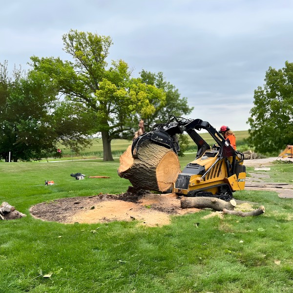 Arbor Masters crew using a compact skid steer with grapple to move a massive log section away from a freshly cut tree stump on an open grassy property