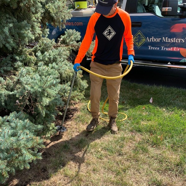 Arbor Masters technician using a soil injector probe to apply liquid fertilizer at the base of a blue spruce, with a branded Arbor Masters truck in the background