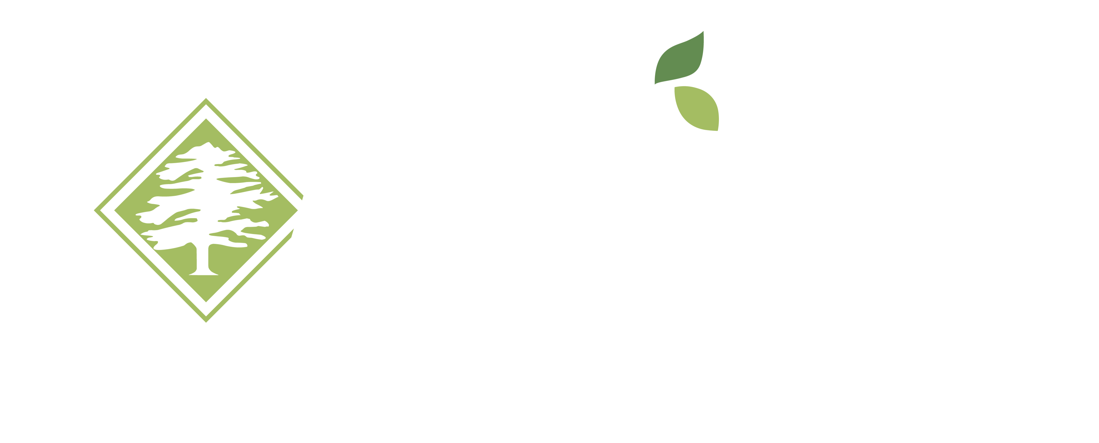 Advantage Tree Logo