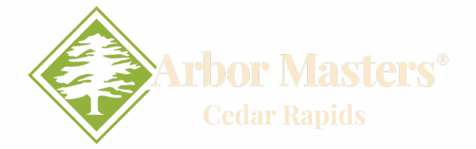 Arbor Masters of Cedar Rapids | Trusted Tree Care Experts