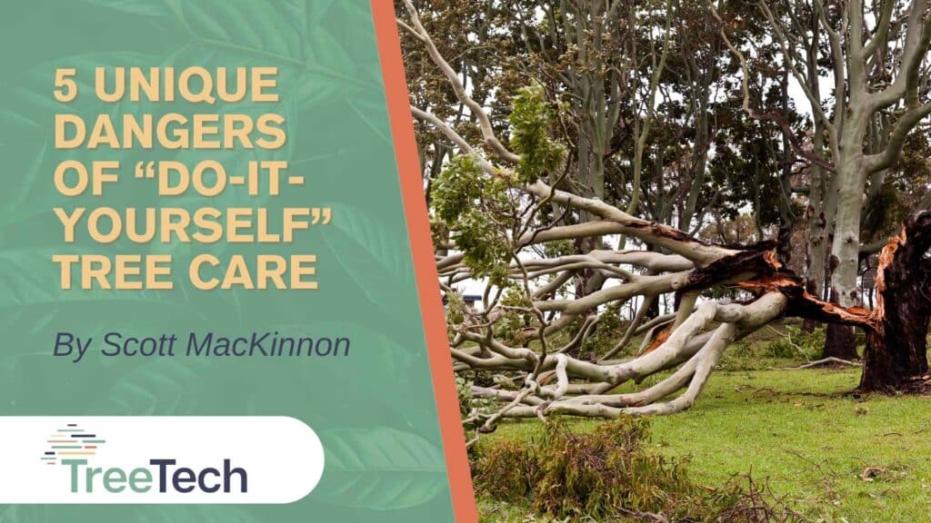 5 unique dangers of "Do It Yourself" tree care