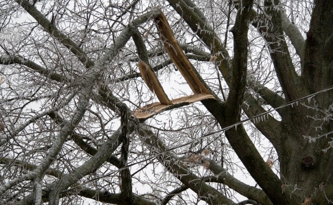 Website-AM-Shawnee-seasonal-tips-winter-broken-branch-icestorm