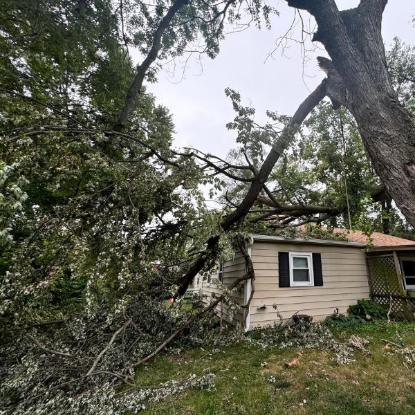 A fallen tree after a storm in Cedar Rapids, IA subject for emergency tree removal.