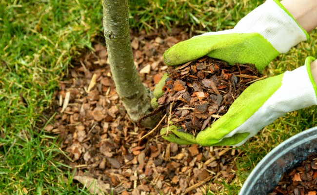 Website-CR-seasonal-tips-spring-mulch-hands