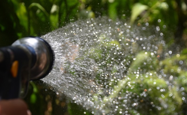 Website-CR-seasonal-tips-summer-hose-water-garden Website-CR-seasonal-tips-summer-hose-water-garden