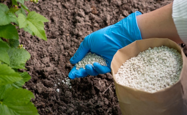 Website-FW-seasonal-tips-fall-fertilizer-soil
