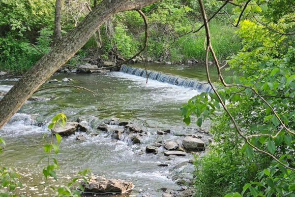 Website-Grimes-LSP-section-image-trees-river