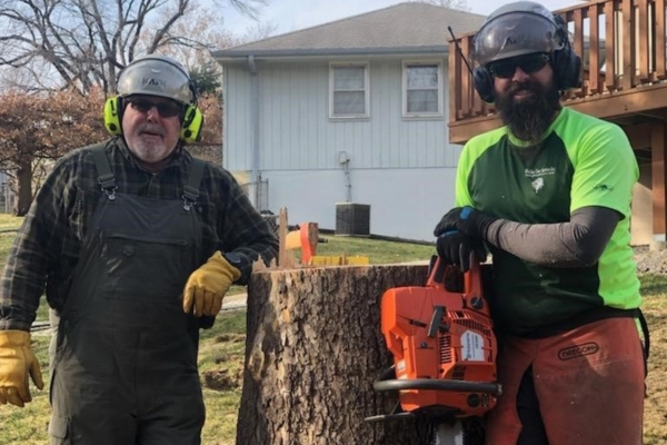 Ground crew of Arbor masters with chainsaw and tree stump