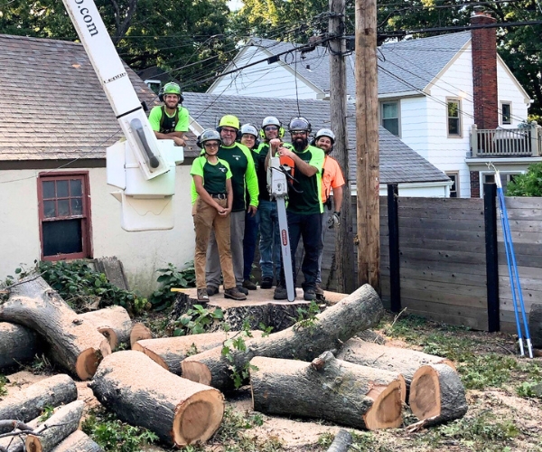 Arbor master tree removal crew after taking down a massive tree on a residence