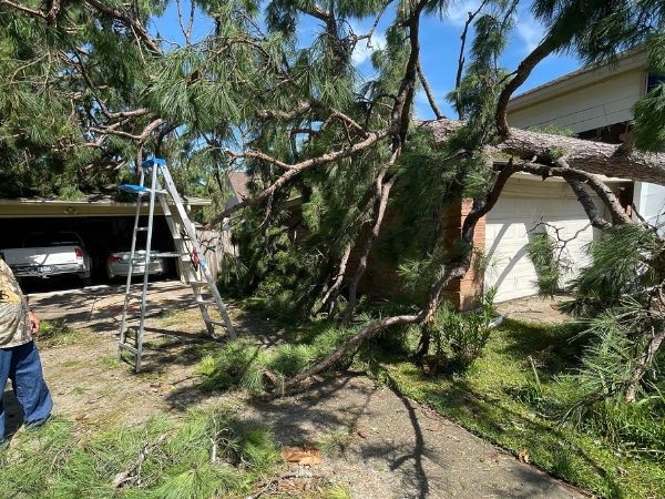 A storm damage tree on a propery after a storm in Marion, IA.