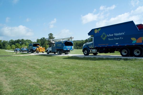 Arbor Master's trucks lining up on a property in Oklahoma City, OK.