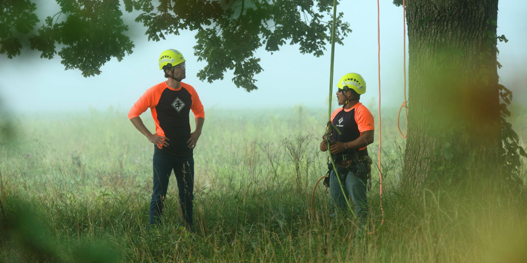 Arbor Master ground crew during tree pruning in Oklahoma City, OK.