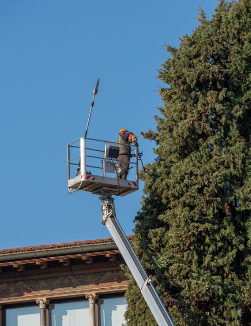 Arbor Masters arborist trimming a tree in Oklahoma Coty, OK.