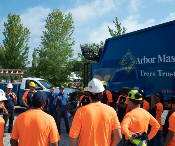 Arbor Master's tree crew in debriefing before a lot clearing.