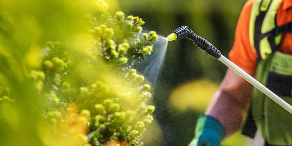 Tree and Shrub Fertilization | Arbor Masters