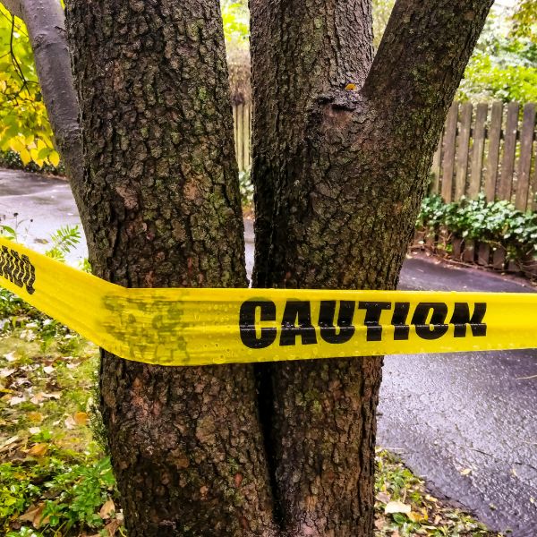 A tree with caution tape around before a contruction site is done near Oklahoma City, OK.