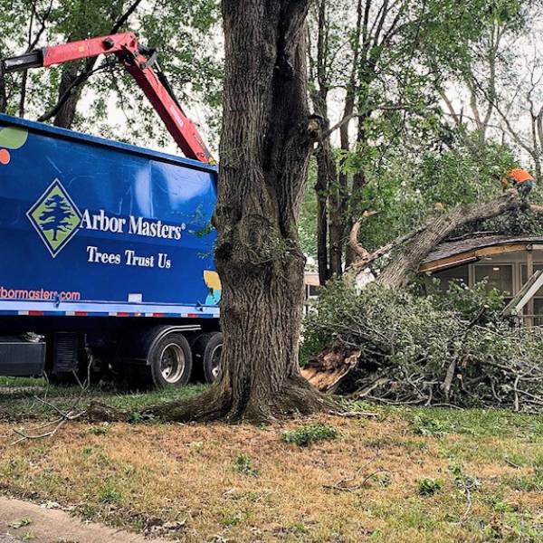 Arbor Masters team at a storm damage work.