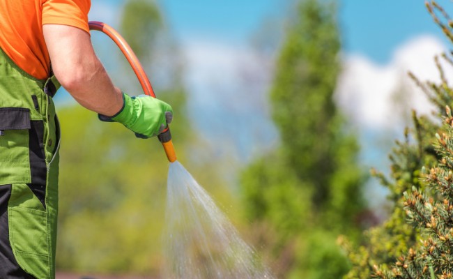 Website-Shawnee-seasonal-tips-summer-hose-watering-trees Website-Shawnee-seasonal-tips-summer-hose-watering-trees
